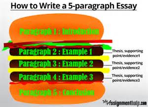 5 paragraph essay help