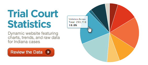 Court statistics project