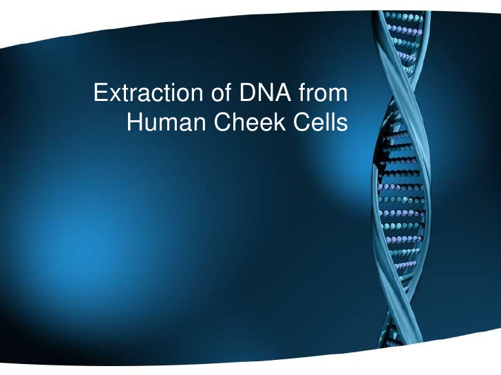 Dna extraction lab report