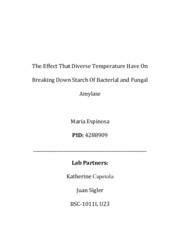 Enzyme lab report