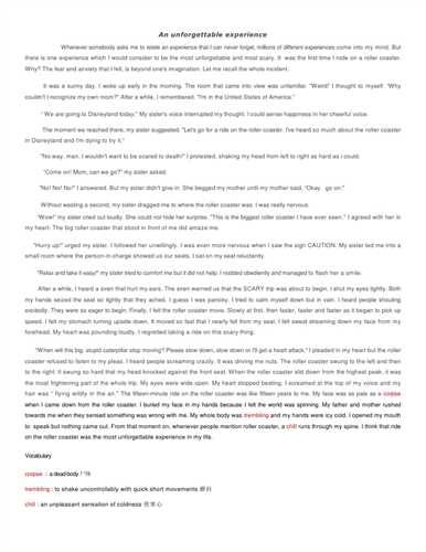 Essay about writing experience