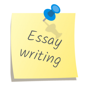 Essay writer