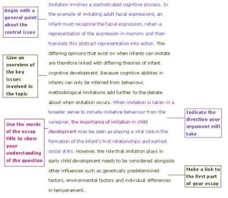 virtual frog dissection lab worksheet answers