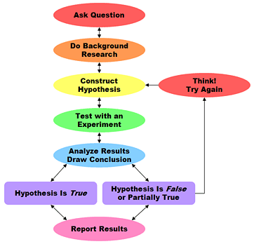 Lab report observations