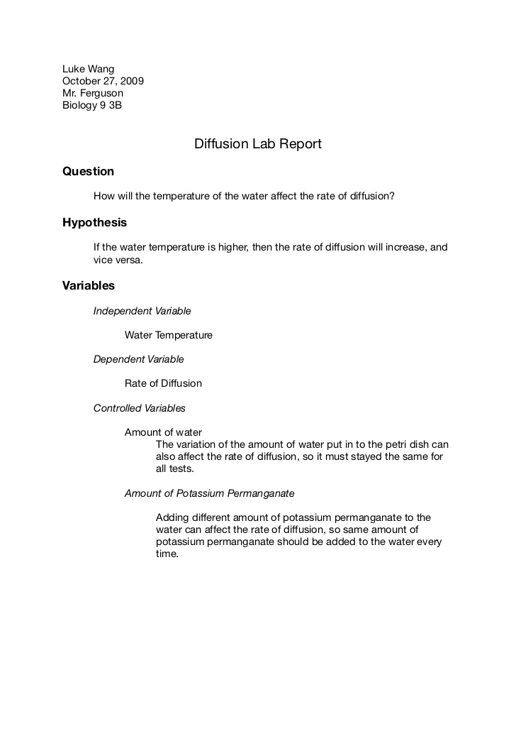 Lab report outline