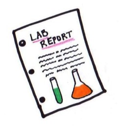 Lab reports