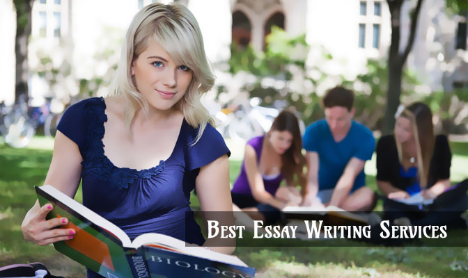 Law essay writing