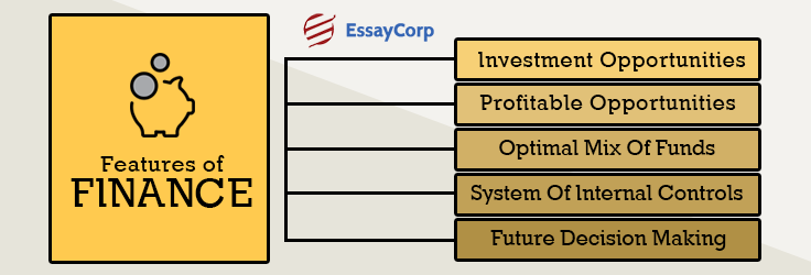 Mba finance assignment help