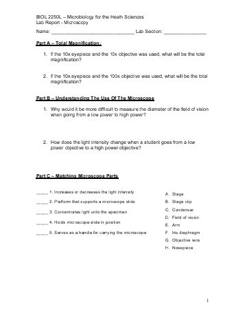 Microscopy lab report