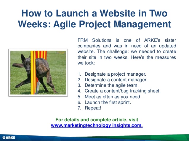 Project management website