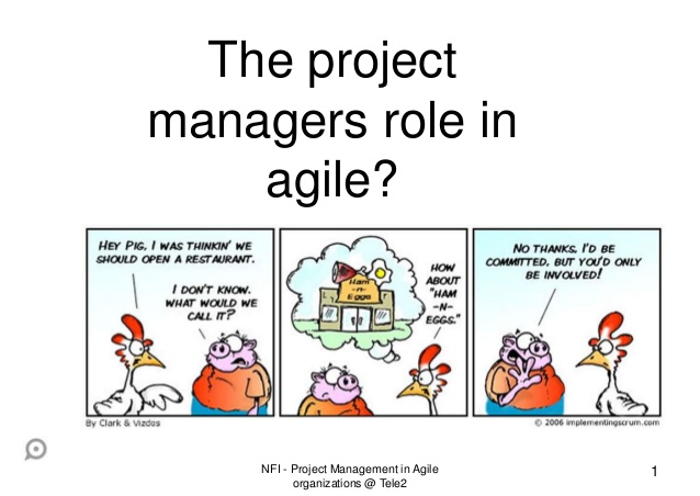 Project manager responsibilities