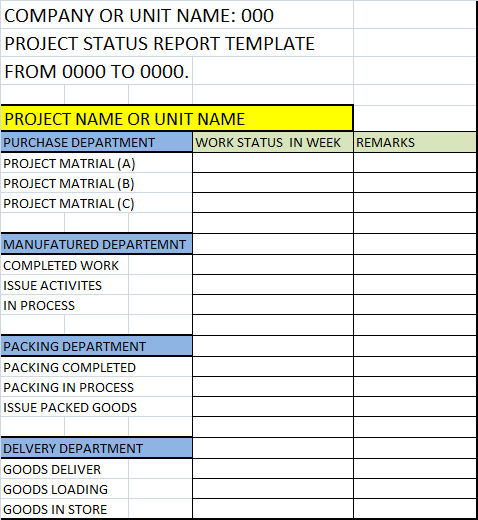 Project report