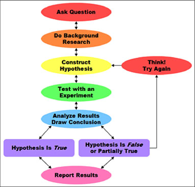 Research project questions