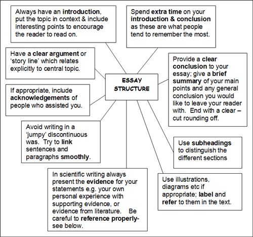 Write an english essay