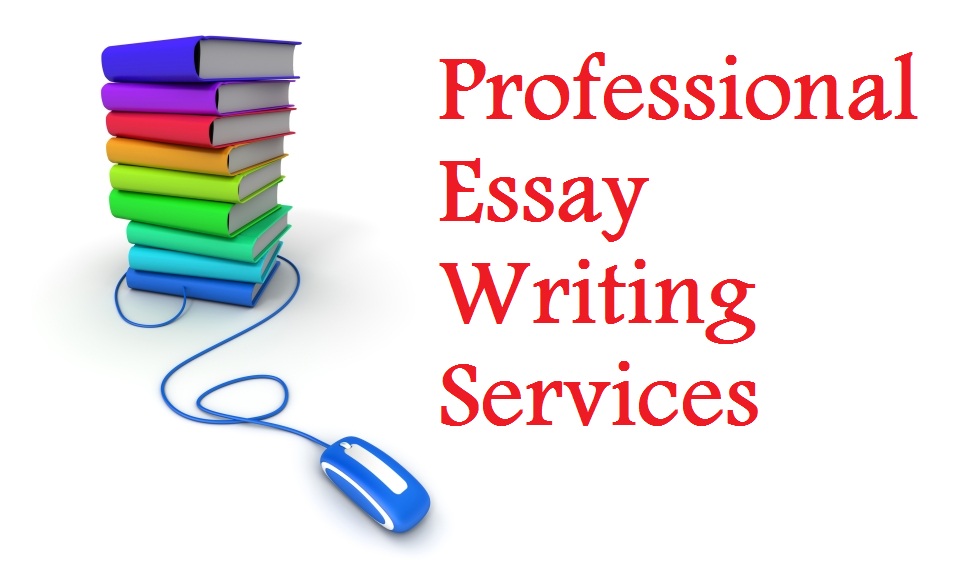 Write essay online
